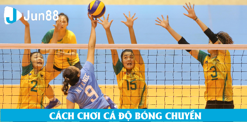 Giới Thiệu Về Cá Độ Bóng Chuyền